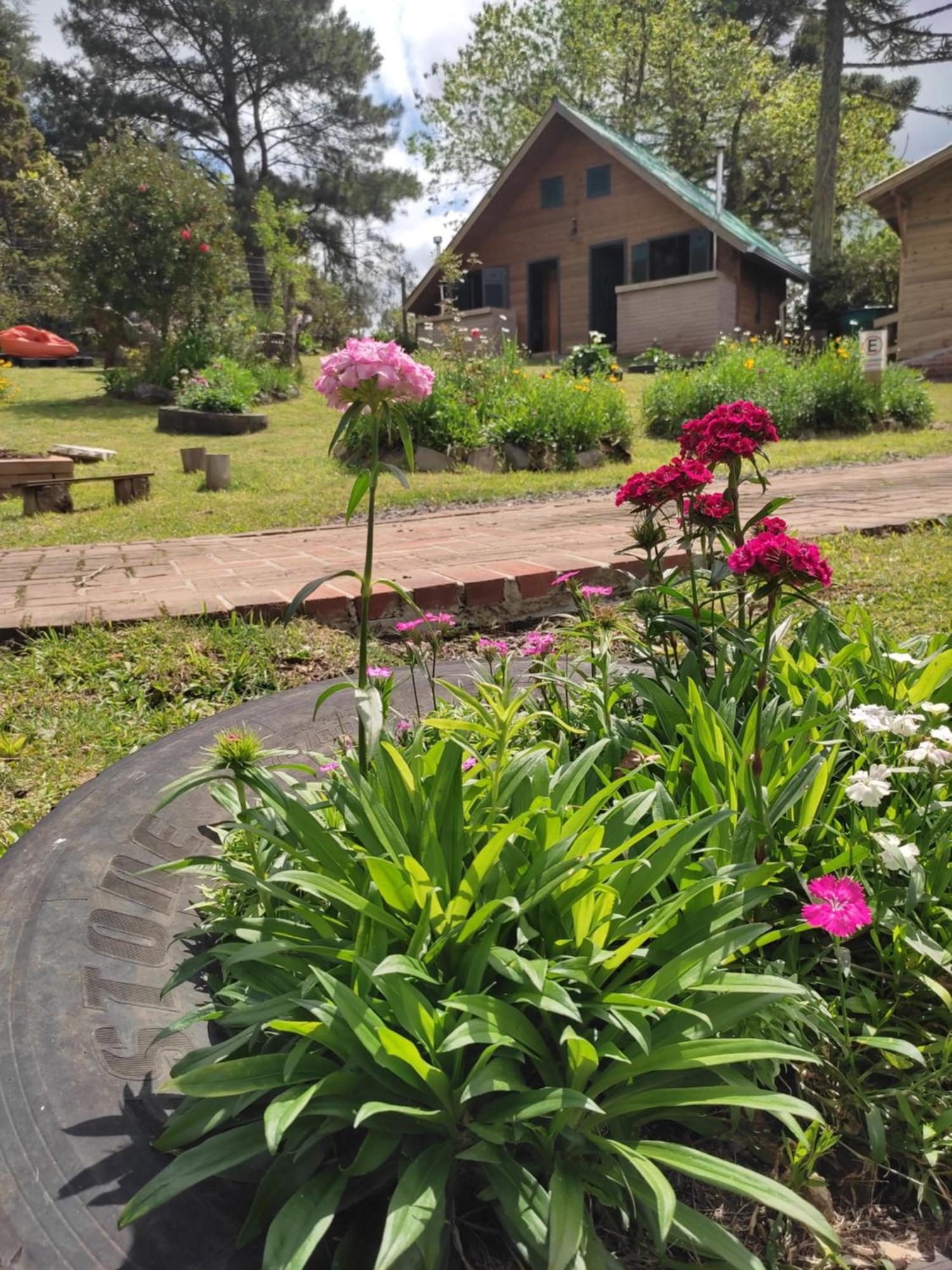 Cabanas Luar São Francisco de Paula Esterno foto